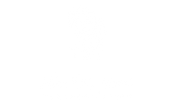 Lion of Judah. Threads & Style